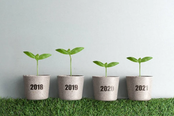 2018年至2021年业务增长比较概念 植物盆中的新苗 — 图库照片