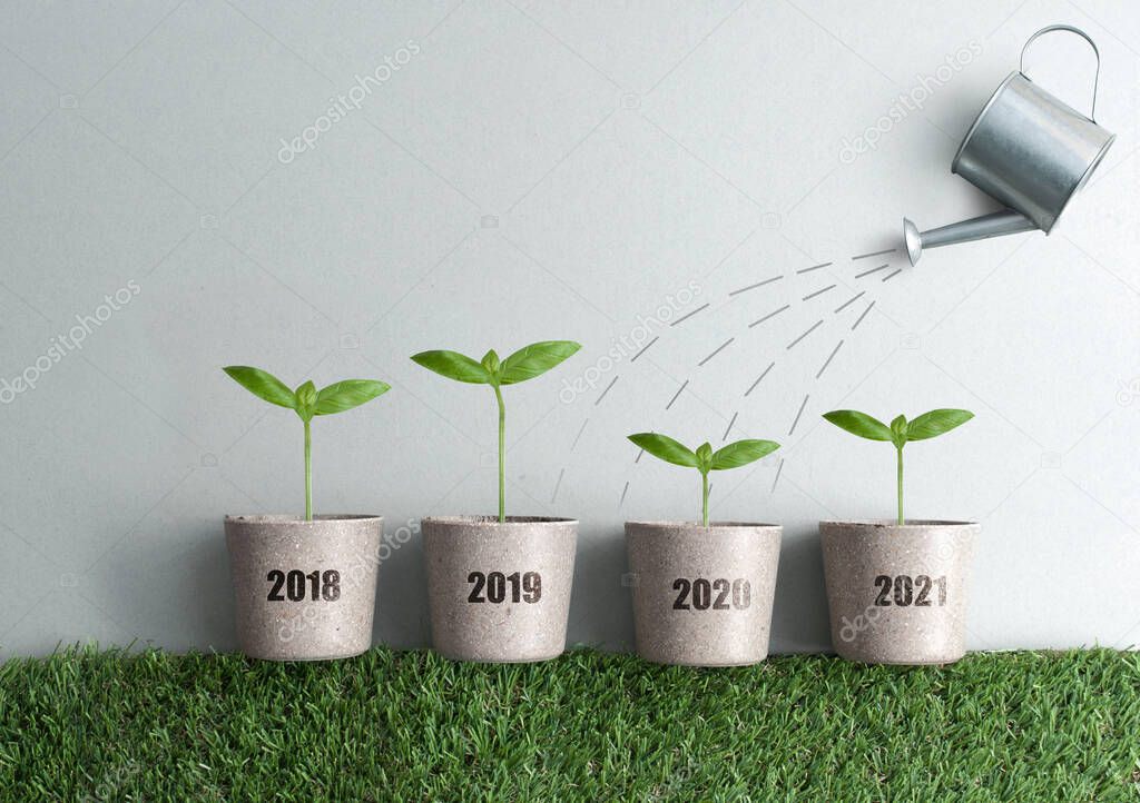 Year by year business growth comparison concept from 2018 to 2021, new seedlings in plant pots, financial stimulus 