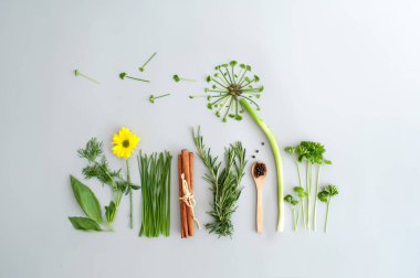 Salata bahçesi konsepti, soğandan, maydanozdan ve taze soğandan yapılmış karahindiba çiçeği.