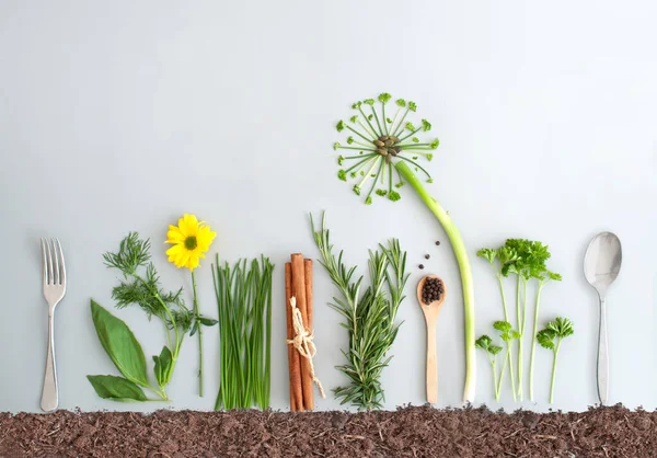 Zutaten Für Sommerlichen Kräutersalat Und Löwenzahnblüten Aus Schnittlauch Petersilie Und — Stockfoto