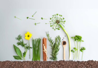 Mevsimlik bitki salatası malzemesi ve soğan, maydanoz ve taze soğandan yapılmış karahindiba çiçeği. 