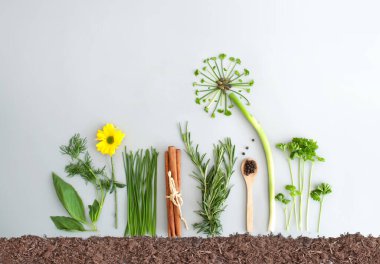 Mevsimlik bitki salatası malzemesi ve soğan, maydanoz ve taze soğandan yapılmış karahindiba çiçeği. 