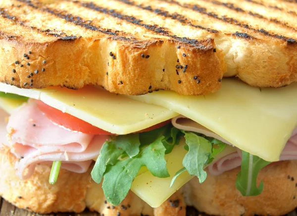Grilled sandwich with cheese — Stock Photo, Image