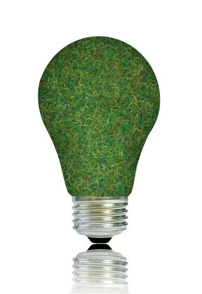 Green light bulb gloeilamp — Stockfoto