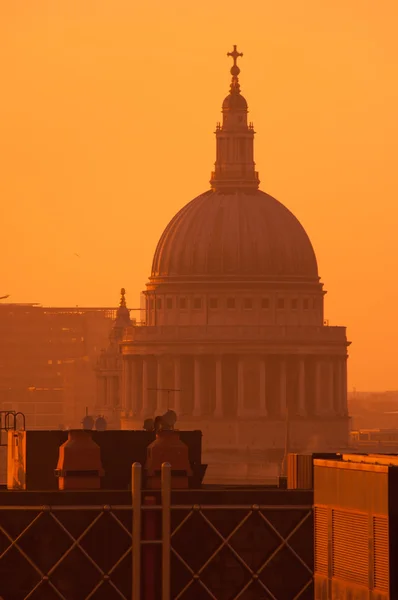 St Pauls Cathedral at sunset — Stock Photo, Image