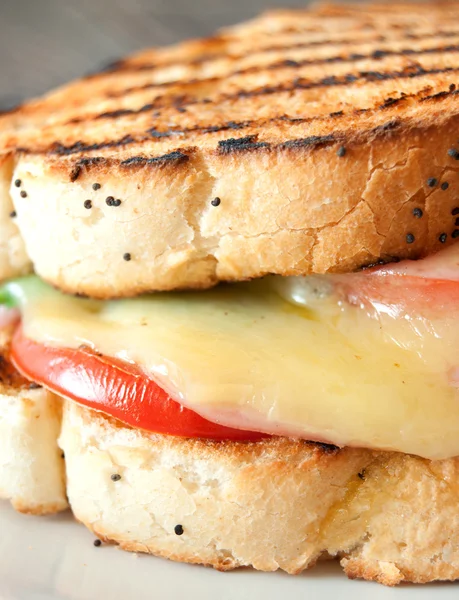 Sandwich de queso a la parrilla — Foto de Stock