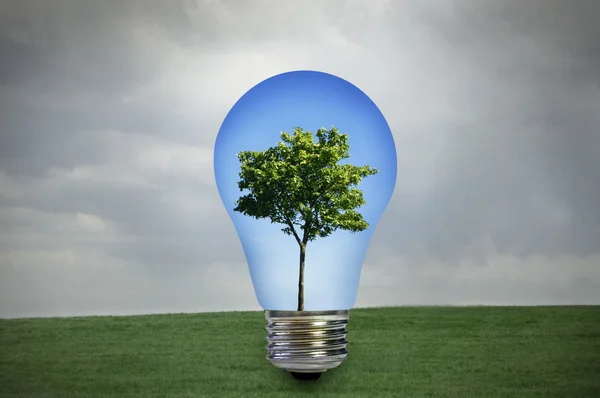 Environmentally friendly energy — Stock Photo, Image