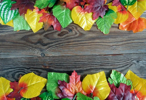 Autumn leaf border — Stock Photo, Image