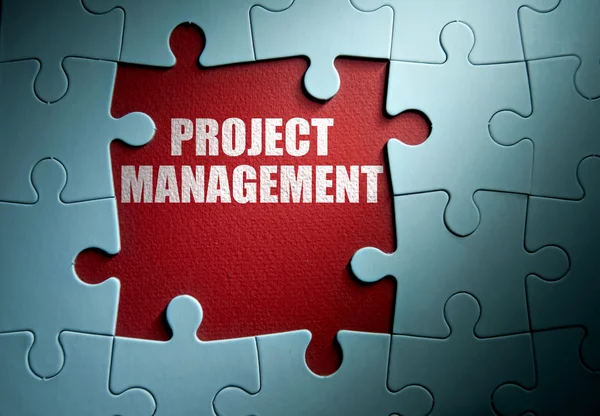 Concepto de gestión de proyectos — Foto de Stock