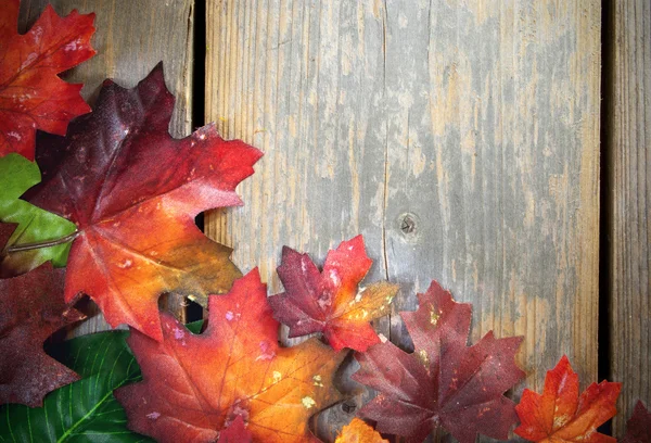 Autumn leaves background — Stock Photo, Image