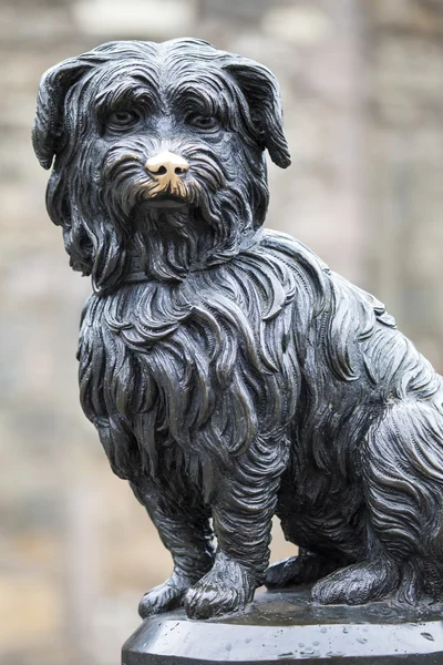 Greyfriars Bobby v Edinburghu — Stock fotografie