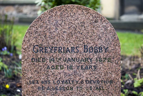 Greyfriars Bobby hrob v Edinburghu — Stock fotografie