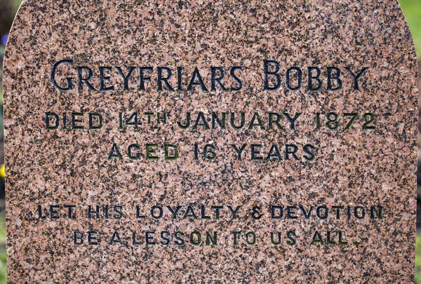 Greyfriars Bobby Grave in Edinburgh — Stock Photo, Image