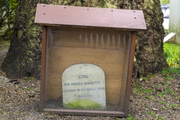 Grave of Giro the Dog in London — Stock Photo, Image