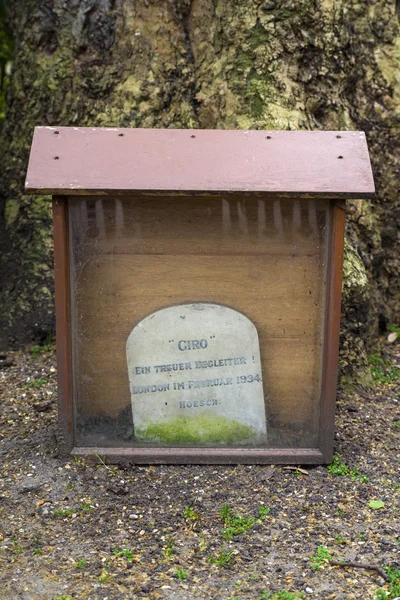 Grave of Giro the Dog in London — Stock Photo, Image