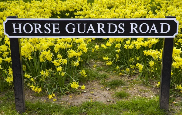 Horse Guards Road i London — Stockfoto