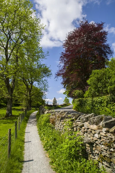 Vista del campo Inglés —  Fotos de Stock