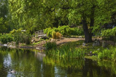 Japon bahçe Island Regents Park