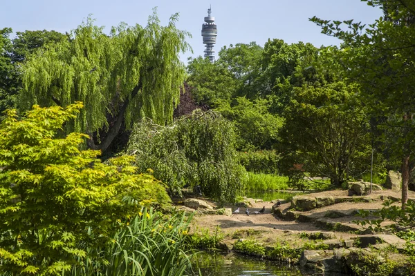 BT Tower and Japanese Island Garden in Regents Park — Stock Photo, Image