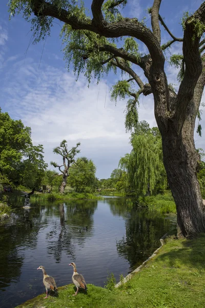 Regents Park i London — Stockfoto