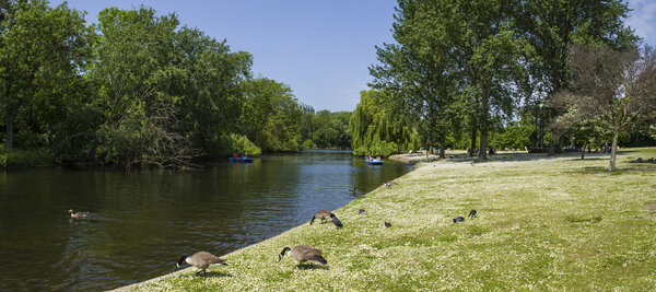 Regents Park in London