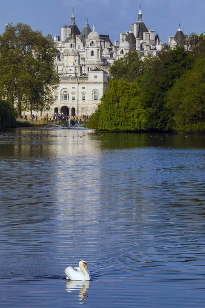 Swan i koń budynku strażnicy w Londynie — Zdjęcie stockowe