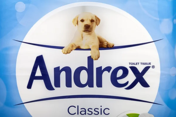 Tejido higiénico Andrex — Foto de Stock