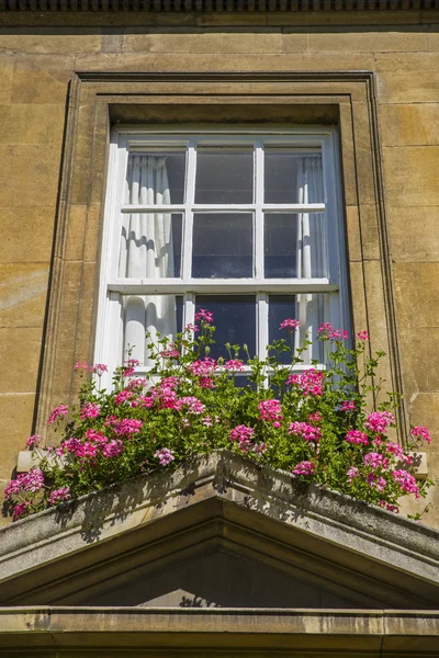 Красиві вікна і квіткові кошики — стокове фото