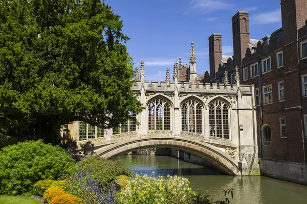 Палаццо Грассі в Кембридж — стокове фото