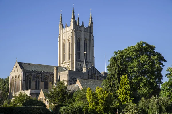 Cathédrale St. Edmundsbury à Bury St. Edmunds — Photo