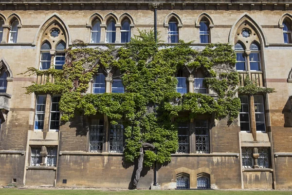 Edificio Meadow en el Christ Church College de Oxford — Foto de Stock