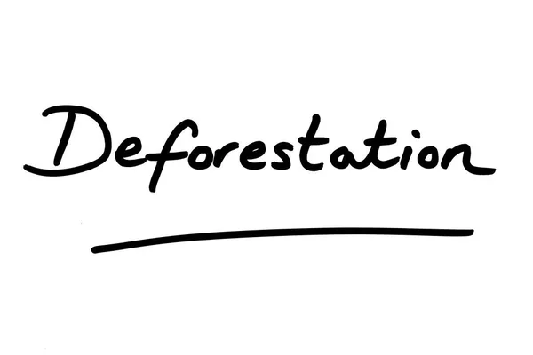 Palavra Desmatamento Escrito Mão Fundo Branco — Fotografia de Stock