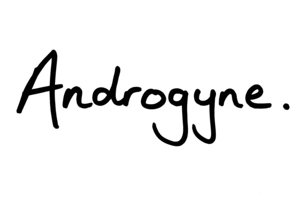 Word Androgyne Handwritten White Background — Stock Photo, Image