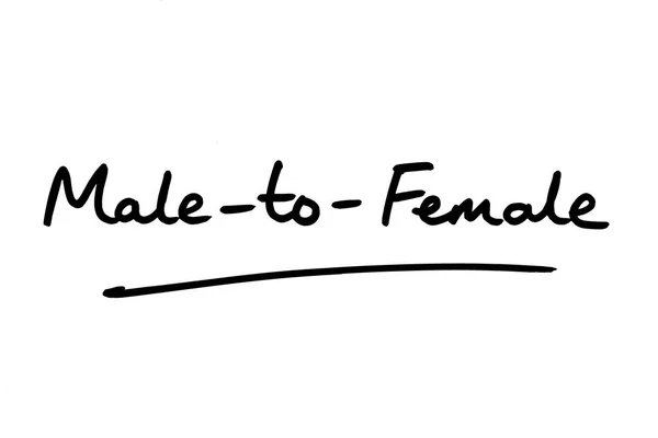 Beyaz Bir Arkaplanda Yazısıyla Erkek Kadına Terimi — Stok fotoğraf