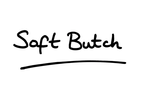 Термин Soft Butch Написанный Руки Белом Фоне — стоковое фото