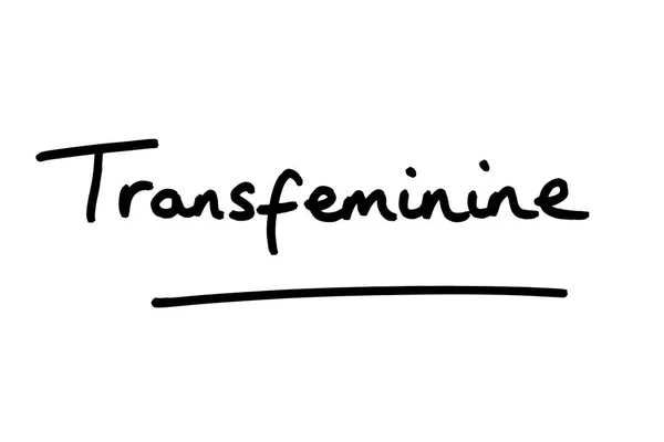 Термін Transfeminine Рукописний Білому Тлі — стокове фото