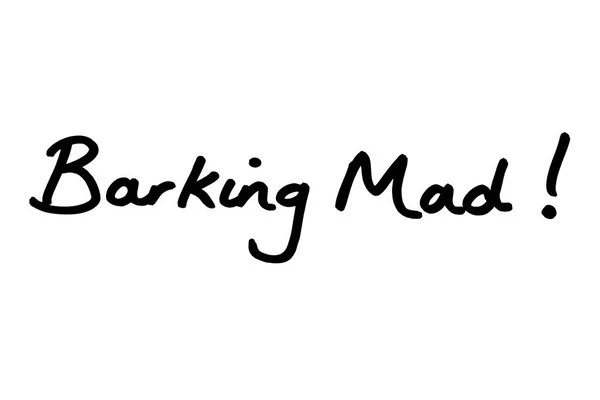 Barking Mad Handwritten White Background — Stock Photo, Image