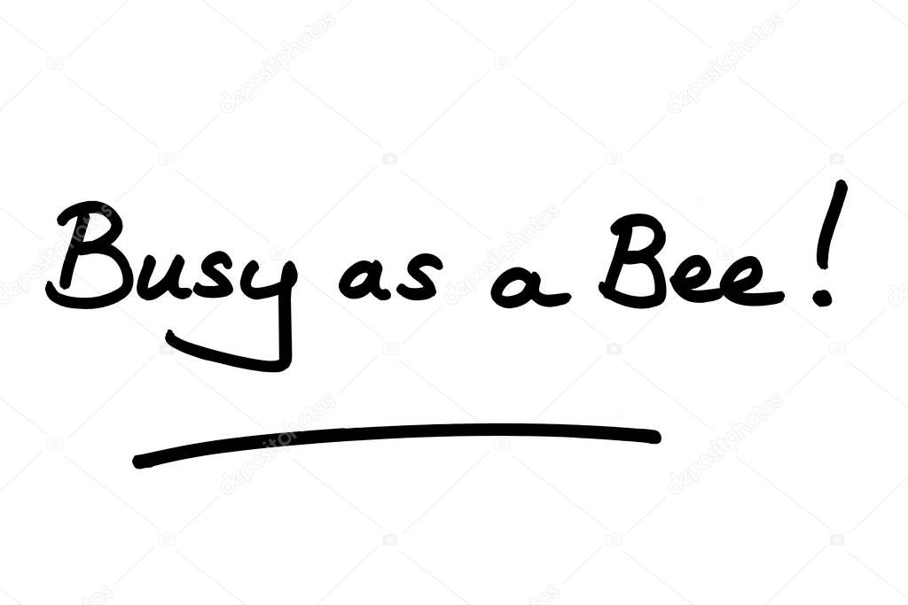 Busy as a Bee! handwritten on a white background.