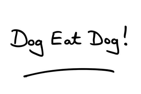 Dog Eat Dog Beyaz Bir Arkaplanda Yazısı — Stok fotoğraf