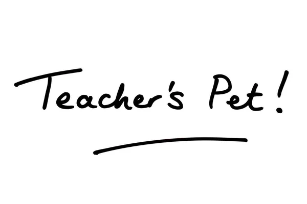 Öğretmen Pet Beyaz Bir Arkaplanda Yazısı — Stok fotoğraf