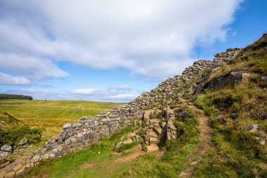 Northumberland, İngiltere 'deki Sycamore Gap yakınlarındaki Hadrian Duvarı manzarası..