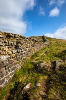 Northumberland, İngiltere 'deki Sycamore Gap yakınlarındaki tarihi Hadrian Duvarı manzarası.