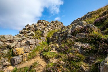 Northumberland, İngiltere 'deki Sycamore Gap yakınlarındaki tarihi Hadrian Duvarı manzarası.