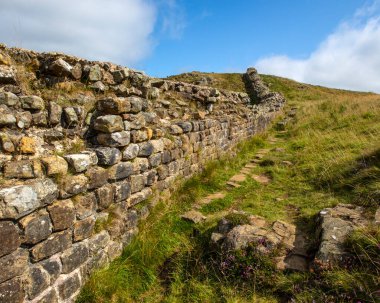 Northumberland, İngiltere 'deki Sycamore Gap yakınlarındaki tarihi Hadrian Duvarı manzarası.