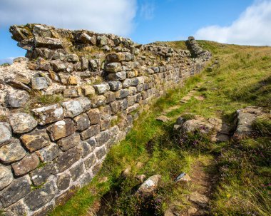 Northumberland, İngiltere 'deki Sycamore Gap yakınlarındaki tarihi Hadrian Duvarı manzarası.
