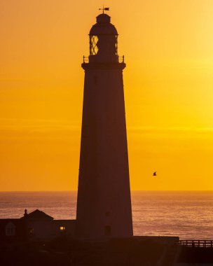Northumberland, İngiltere - 28 Ağustos 2021: Northumberland, İngiltere 'deki muhteşem St. Marys Deniz Feneri' nde gün doğumu.