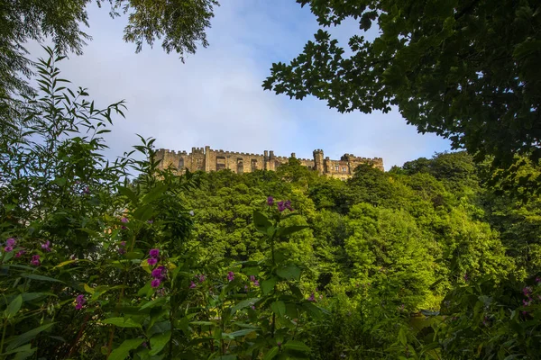 Великолепный Замок Дурхем Просматриваемый Сквозь Листву Городе Дурхем Великобритания — стоковое фото
