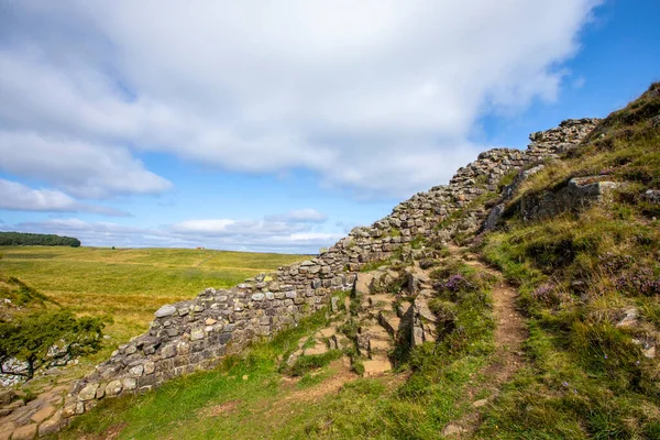 Una Vista Del Muro Hadrians Cerca Sycamore Gap Northumberland Reino —  Fotos de Stock