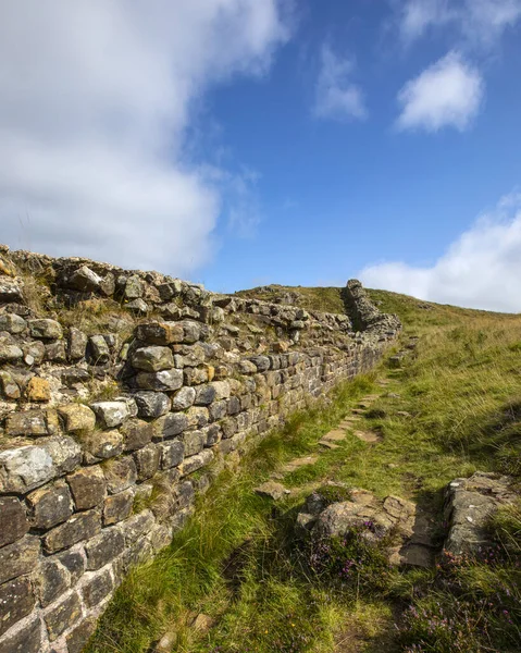 Northumberland, İngiltere 'deki Sycamore Gap yakınlarındaki tarihi Hadrian Duvarı manzarası.