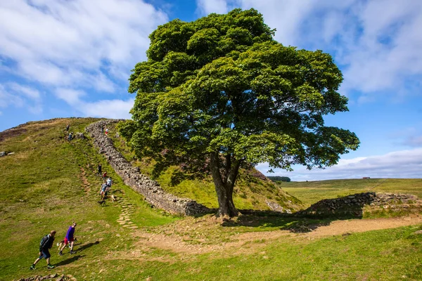 Senderistas Explorando Impresionante Brecha Sycamore Ubicada Camino Pared Hadrians Northumberland —  Fotos de Stock